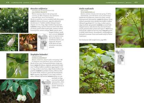 TREES & SHRUBS OF THE PACIFIC NORTHWEST - TURNER. MARK